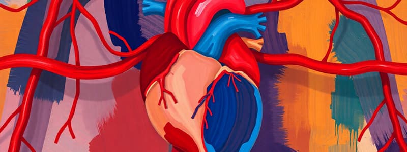 Cardiovascular System Overview