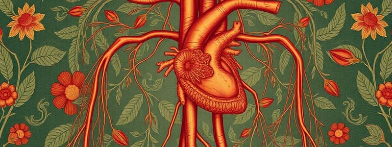 Biology Chapter 18: Cardiovascular System