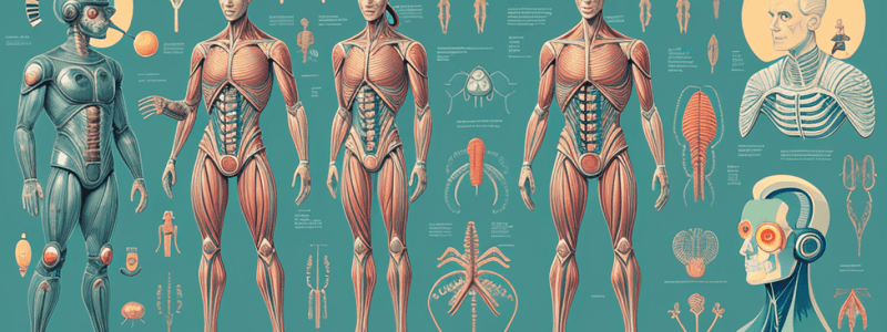 SEM_12_Development of the Urinary System