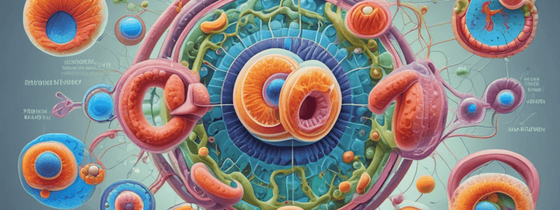 Cell Cycle Checkpoints and Regulation Quiz