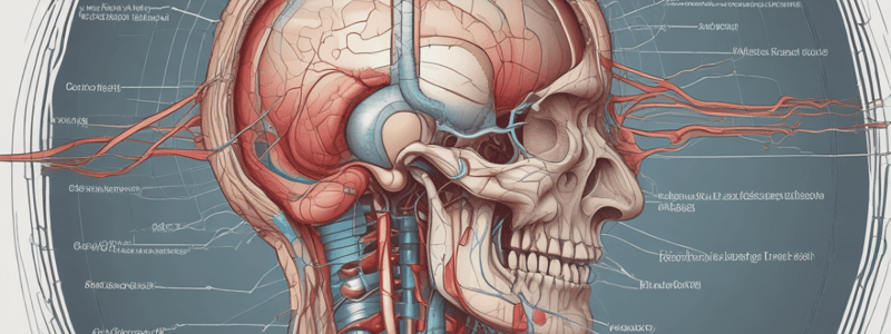 Optic Nerve Anatomy Quiz