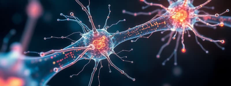 Cytosquelette - Microtubules