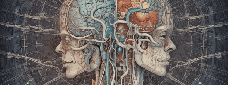 WK 2: Somatosensory System and Neuronal Signaling