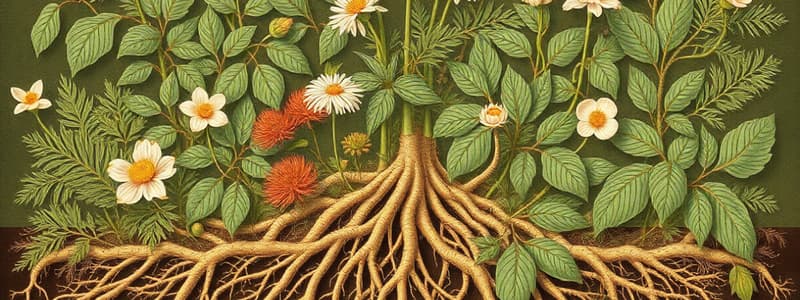 Plants Around Us and Root Systems