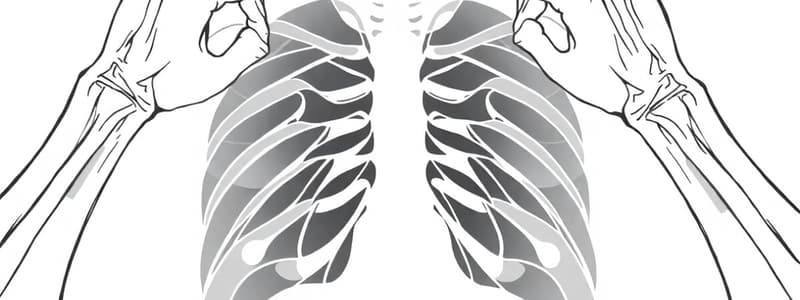 Radiología Clínica del Sistema Musculo-esquelético