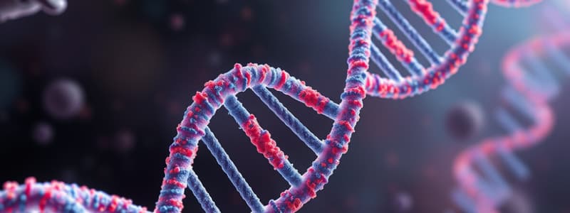 DNA Replication in Prokaryotes and Eukaryotes