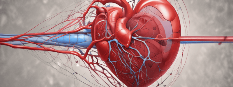 Anticoagulant and Antiplatelet Therapy Guidelines