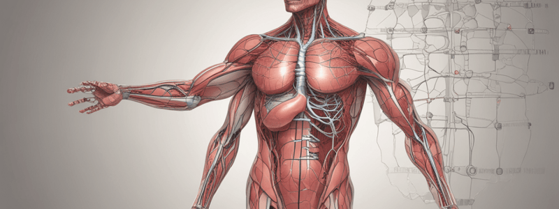 Anatomy and Function of the Heart