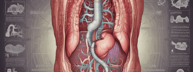 Stomach Lining and Digestion