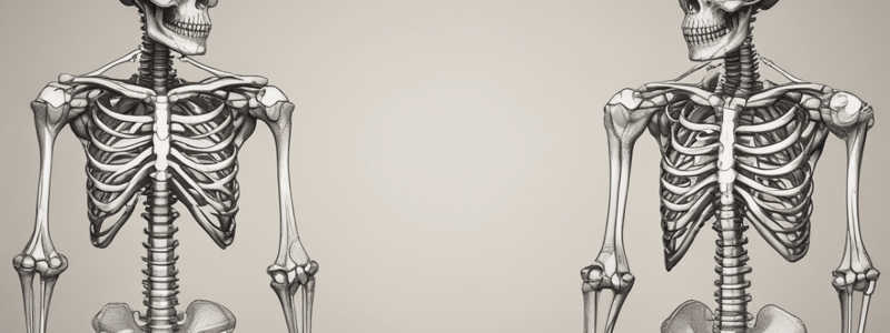 Upper Limb Bones Quiz