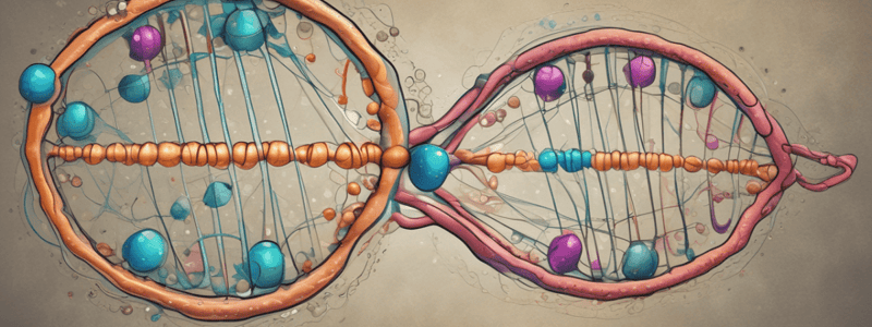 Genetics: Cell Nucleus and DNA Structure