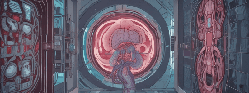 MRI in Acute Ischemic Infarction Diagnosis