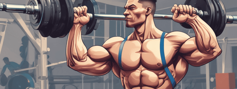 Muscle Building Essentials: Training, Nutrition, Recovery, and Overload