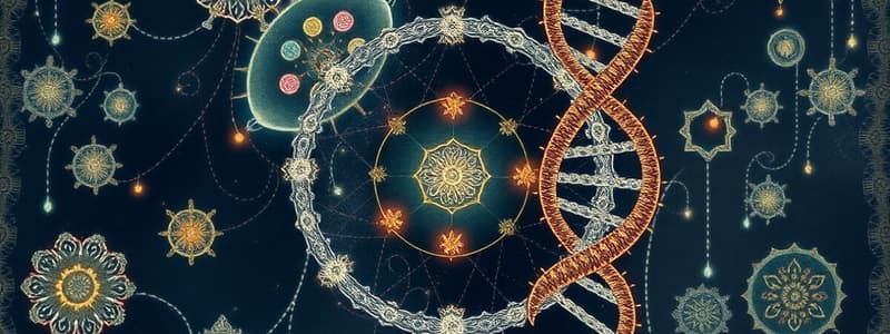 Cell Division and Cell Cycle Quiz