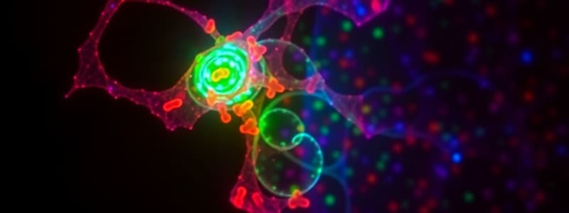 Immunofluorescence Techniques