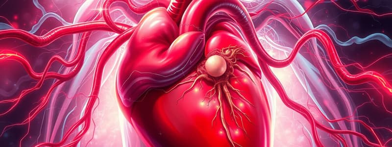 Hemodynamics Overview and Blood Pressure