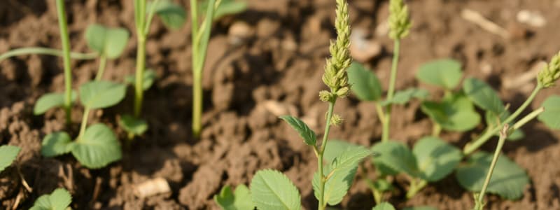 Branches of Agriculture Flashcards