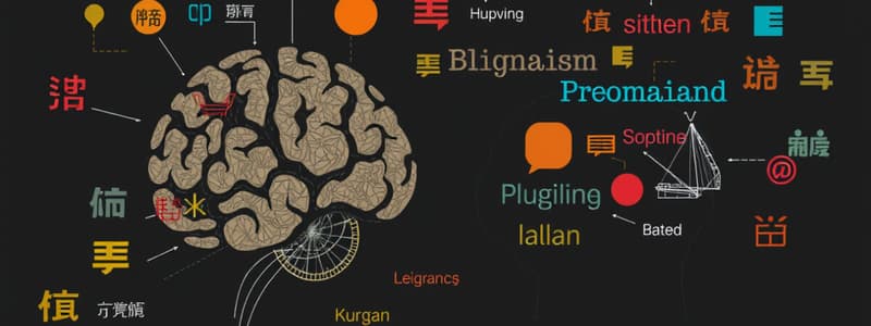 Language and the Brain: A Comprehensive Overview