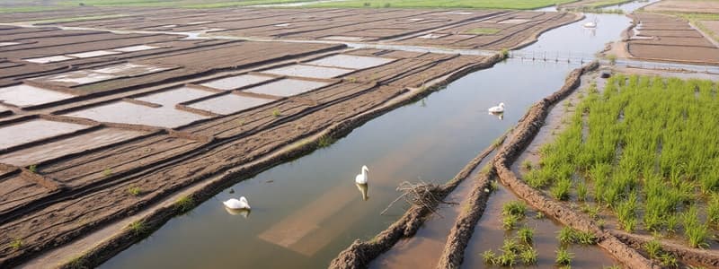 Drought in China and Its Effects on Agriculture