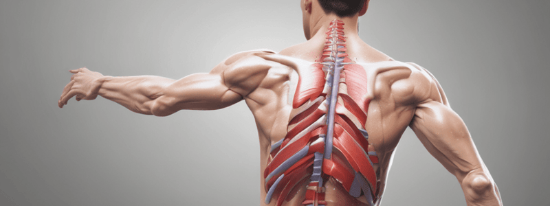 Shoulder Dislocations and Rotator Cuff Injuries