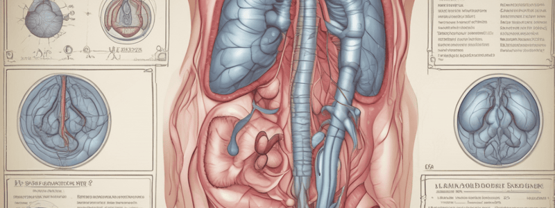 Appendicitis Clinical Significance