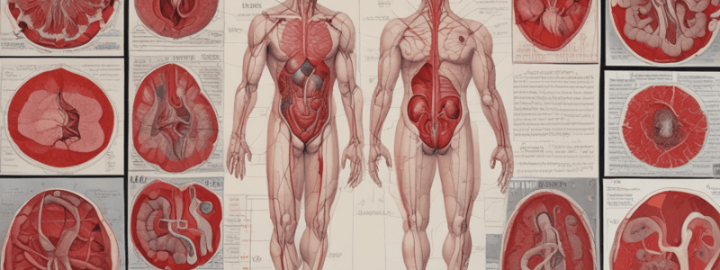 Human Perspectives ATAR Units 1 & 2 Chapter 5: Blood Removal Effects and Body Importance