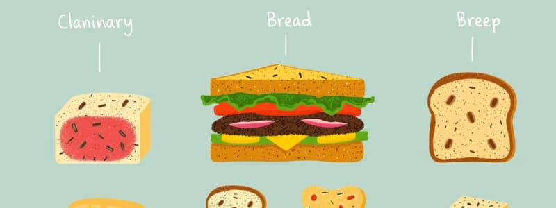 Sandwich Classification Chapter 3 Flashcards