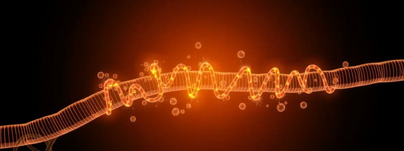 Biología: Cadena de Transporte de Electronés