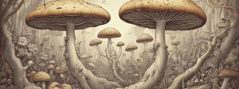 Fungi and Ecosystems