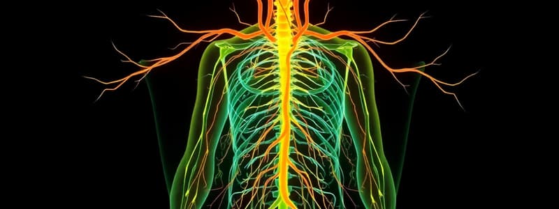 Lecture 5 Autonomic Nervous System Overview