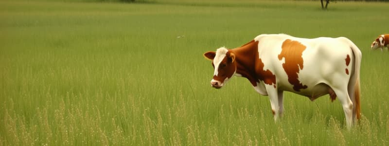 Cultivated Forage and Pasture Management