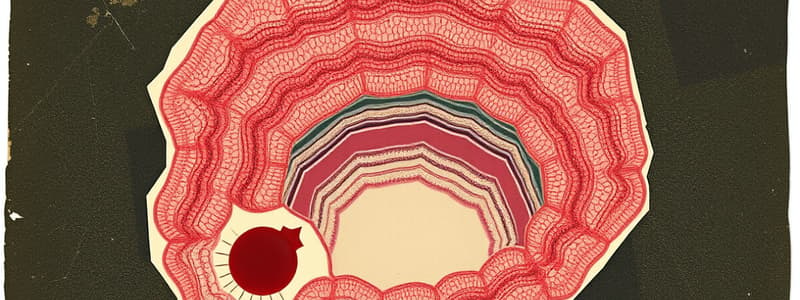 Types of Epithelia Overview