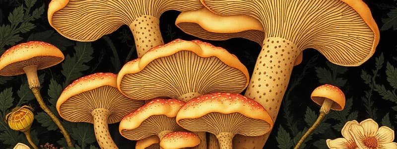 Fungal Biology Quiz