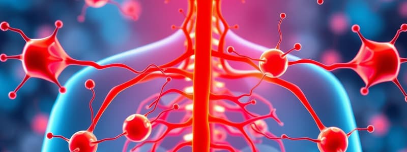 Parasympathetic Nervous System Overview