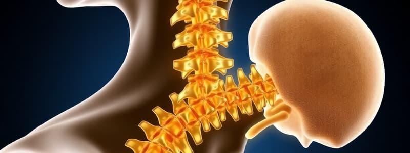 Neuroscience Chapter on Sensory Pathways