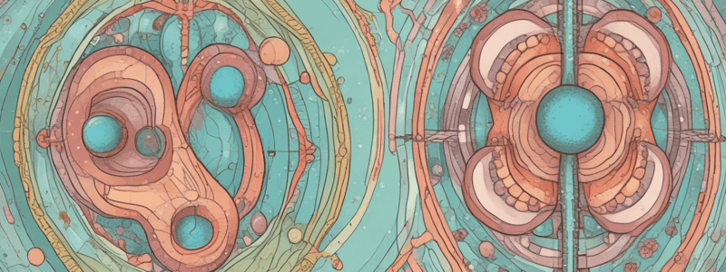 Mitosis and Cell Division