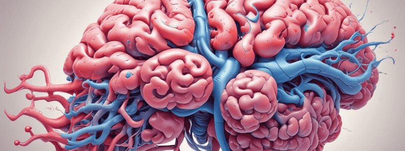 Cerebrospinal Fluid and Ventricles Quiz