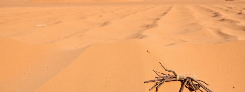 Le sable : une ressource en danger