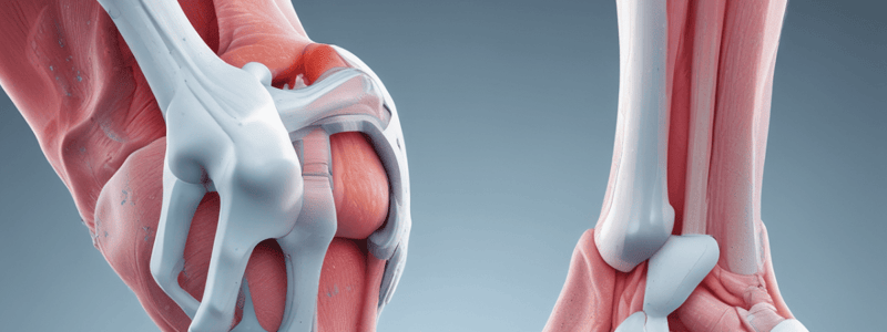 Orthopedic Treatment Options for Knee Osteoarthritis