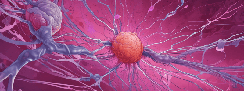 Stages of Cancer Metastasis