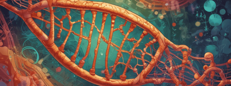 Mitochondrial DNA Structure and Function