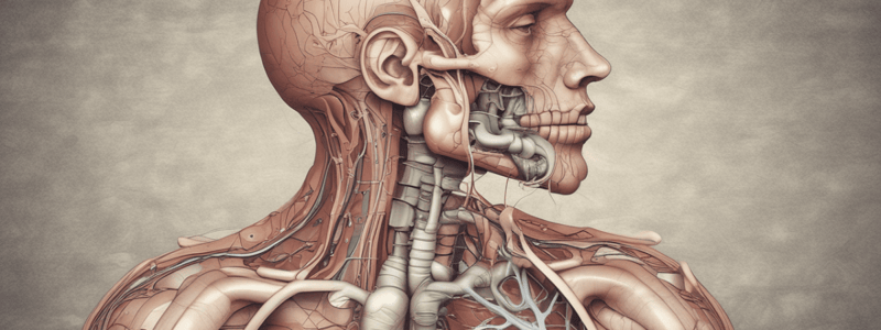 Physiology of Respiratory System