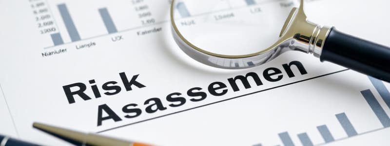 Auditing, Risk and Assertions in Financial Statements