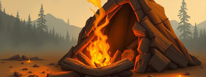 Fire Lighting Techniques Quiz