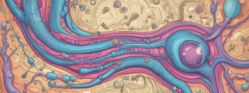 Goodman & Gilman's: Chapter 25 - Renal Excretory Function Quiz