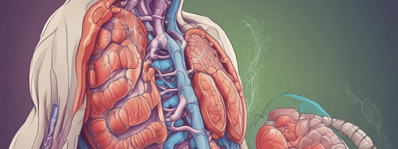 Funciones del Páncreas y Digestión