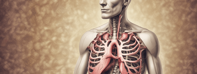 Pharmacology: Drugs Affecting the Respiratory System