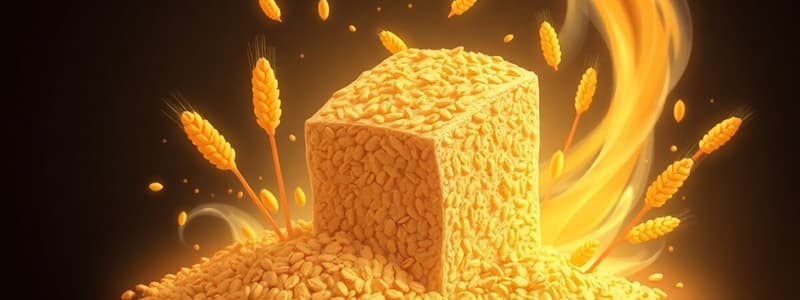 Cereali: Struttura e Composizione