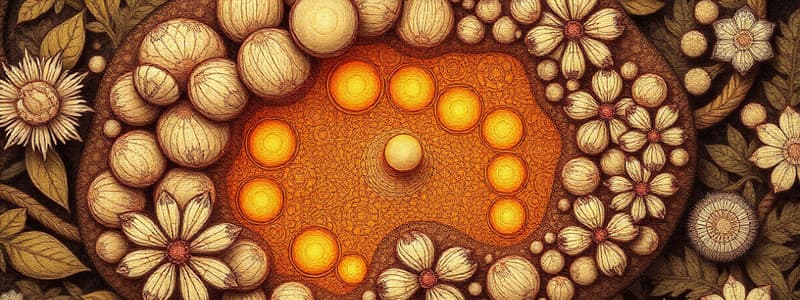 Adipose Tissue and Immune Cells