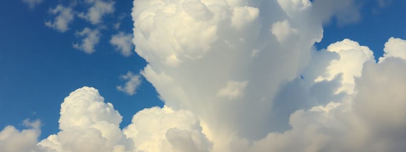 Clasificación de Nubes y Formación Climática